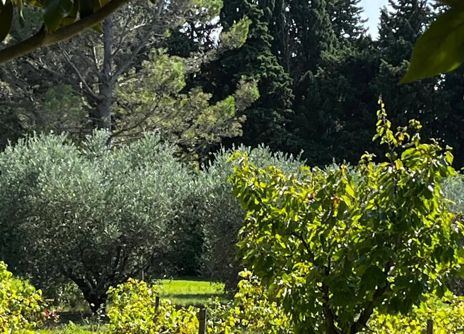 Holiday home Maison A Maussane-Les-Alpilles